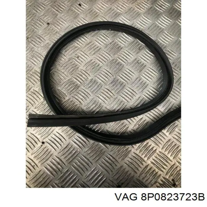 Купити 8P0823723B VAG 
