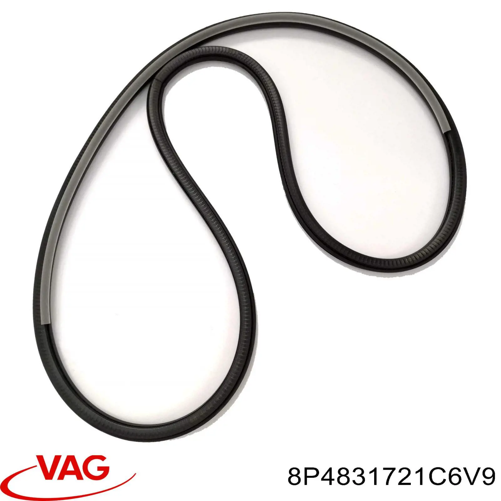8P4831721A6V9 VAG 