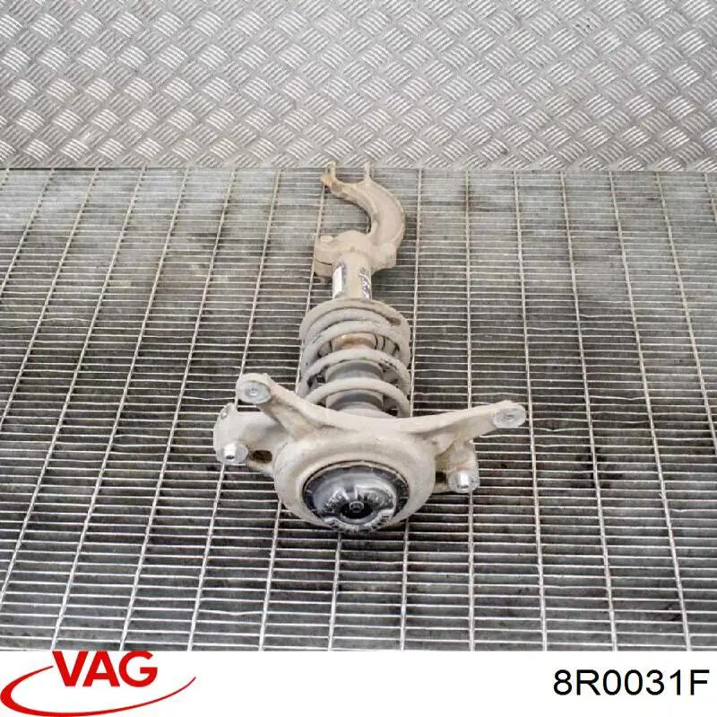 8R0031F VAG 