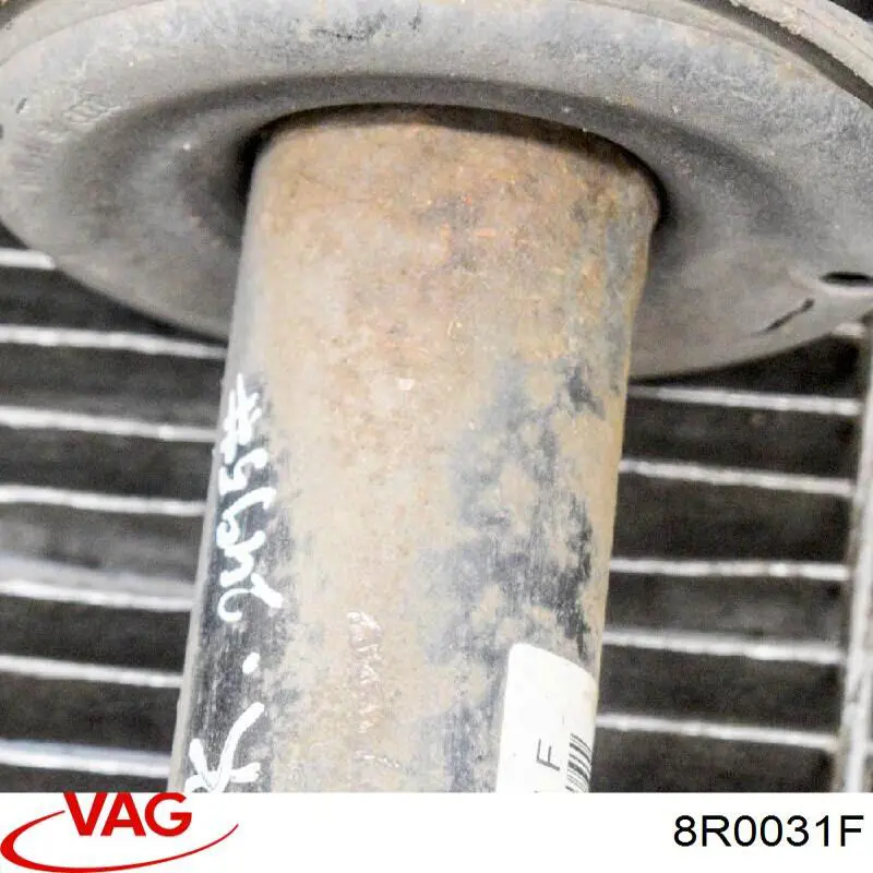  8R0031F VAG
