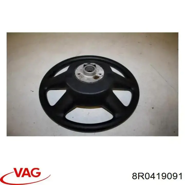  8R0419091 VAG