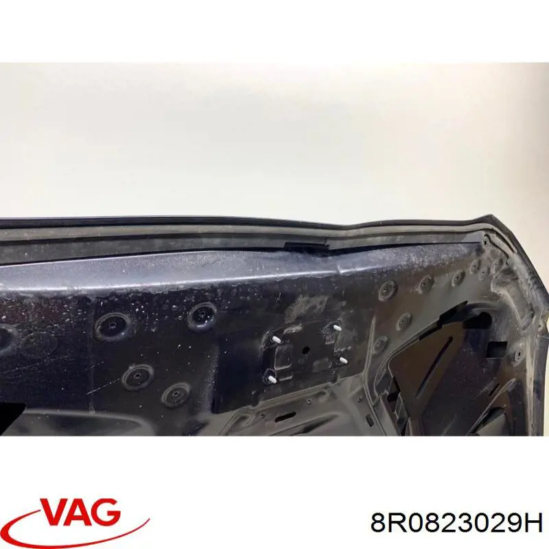8R0823029H VAG Капот