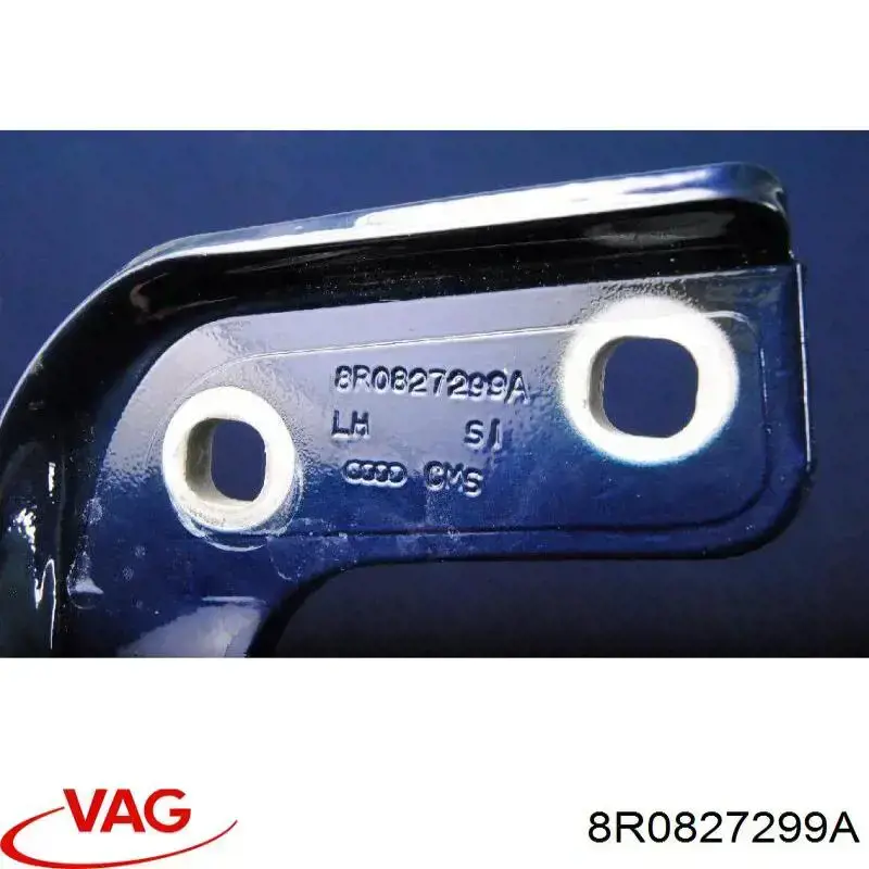 Купити 8R0827299A VAG Петля третіх/п'ятих дверей