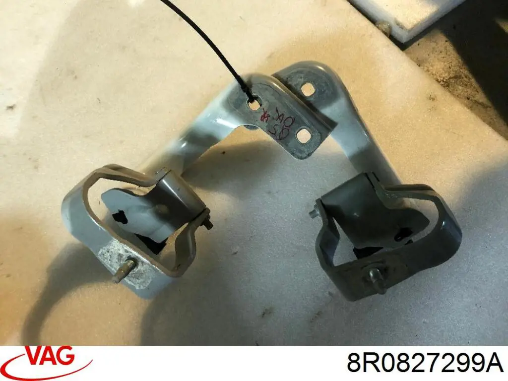 Купити 8R0827299A VAG Петля третіх/п'ятих дверей