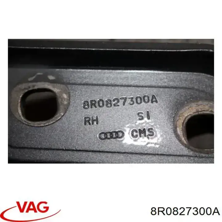 Петля задньої багажної, 3/5 -ої двері VAG 8R0827300A