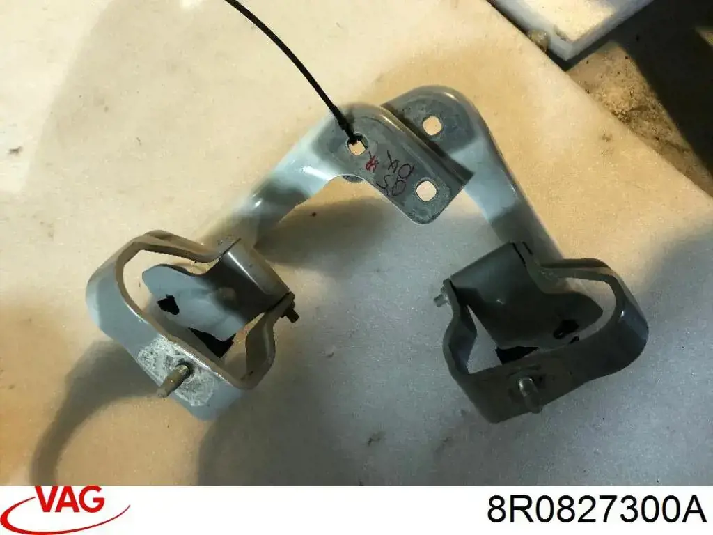 Петля задньої багажної, 3/5 -ої двері 8R0827300A VAG