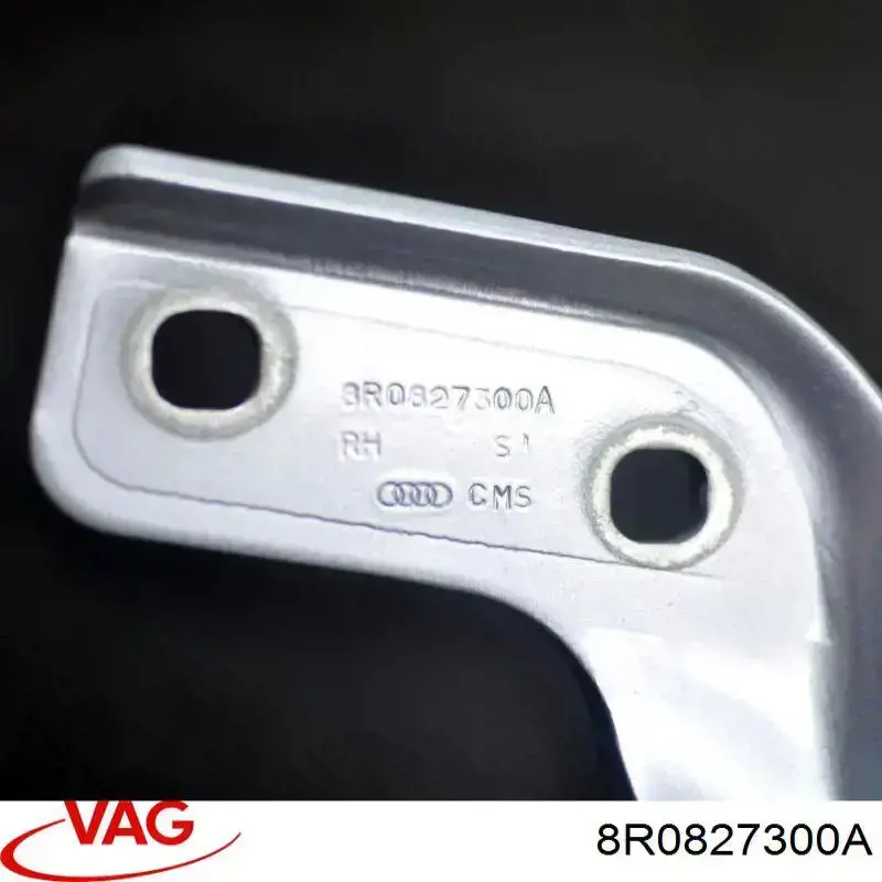 8R0827300A VAG Петля багажника