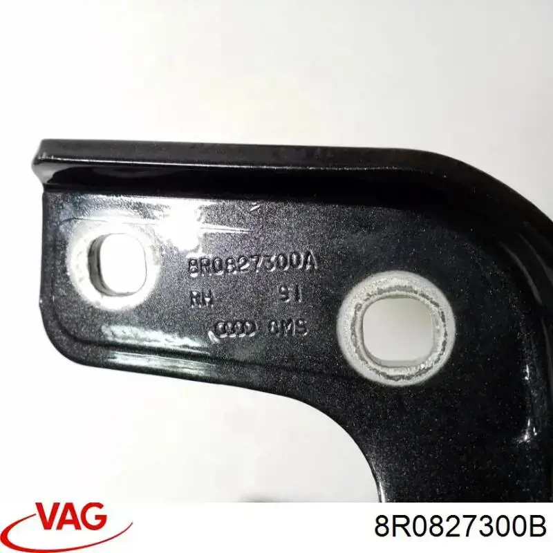 8R0827300B VAG Завіса задніх дверей, ляди