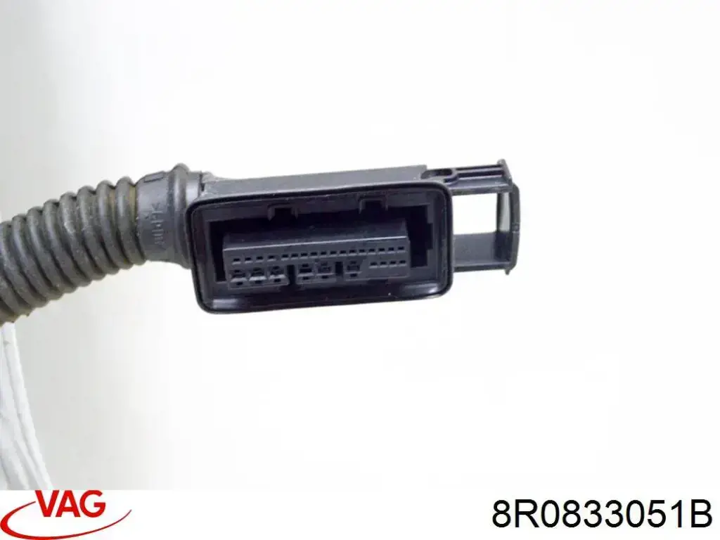 Купити 8R0833051B VAG Двері задні, ліві