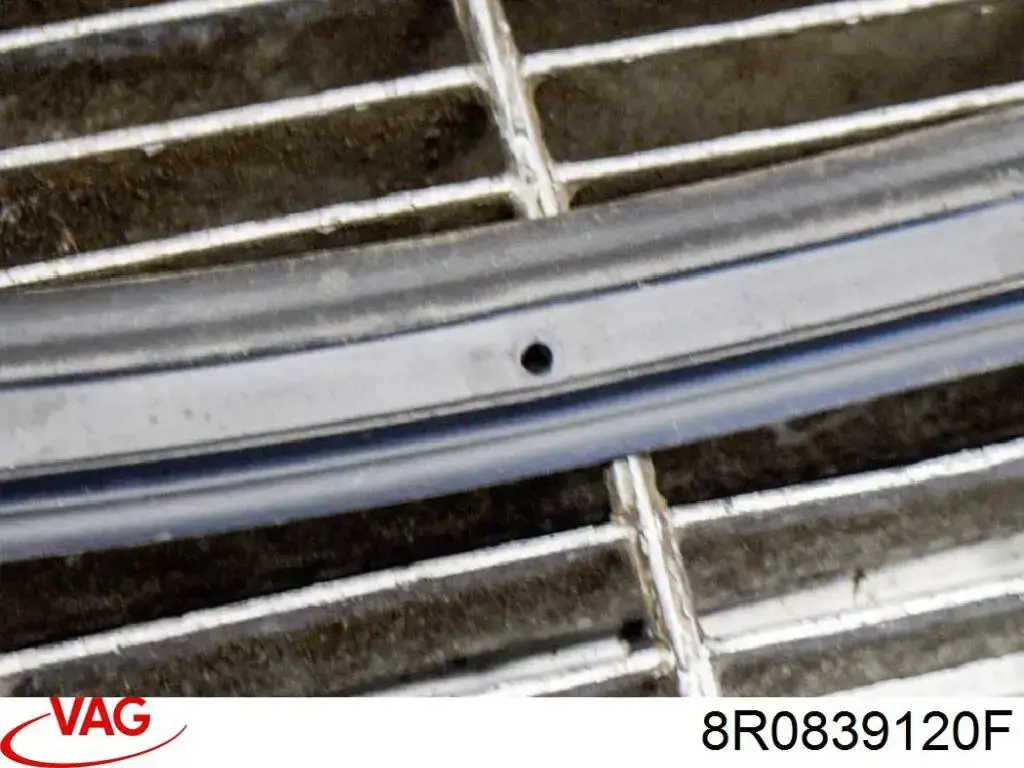  VAG 8R0839120F