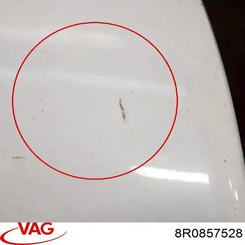 Купити 30200892 TYC Накладка/кришка дзеркала заднього виду, права