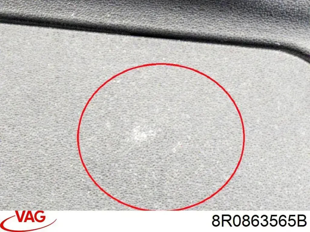  8R0863565B VAG