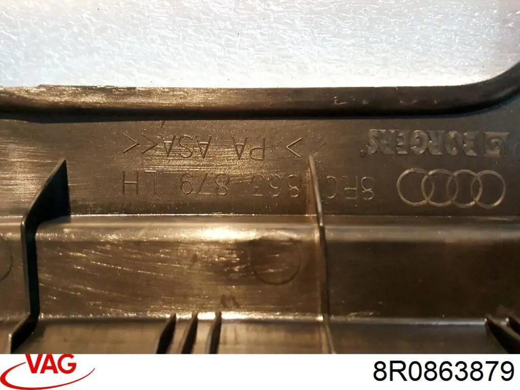  VAG 8R0863879