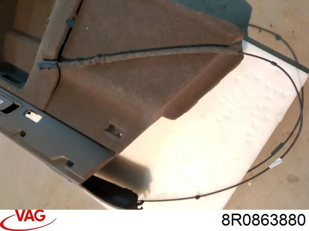  VAG 8R0863880