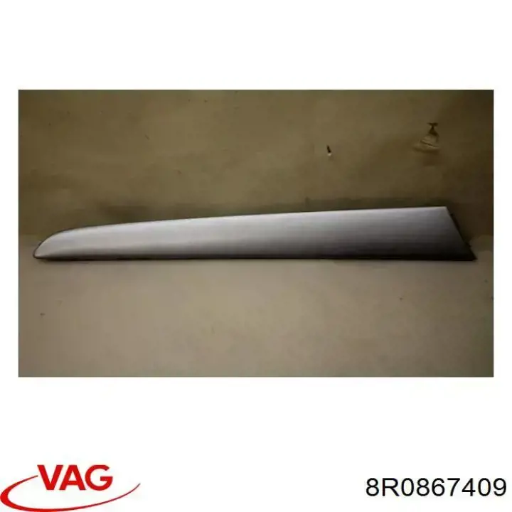 Купити 8R0867409 VAG Накладка задньої лівої двері