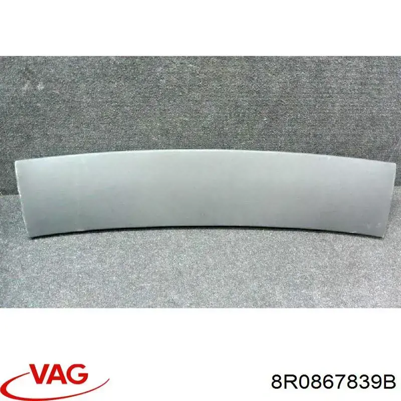  8R0867839B VAG