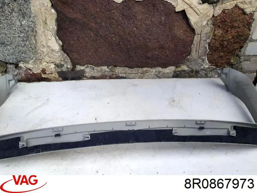  8R0867973 VAG