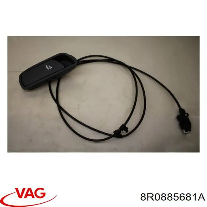 8R0885681A VAG 