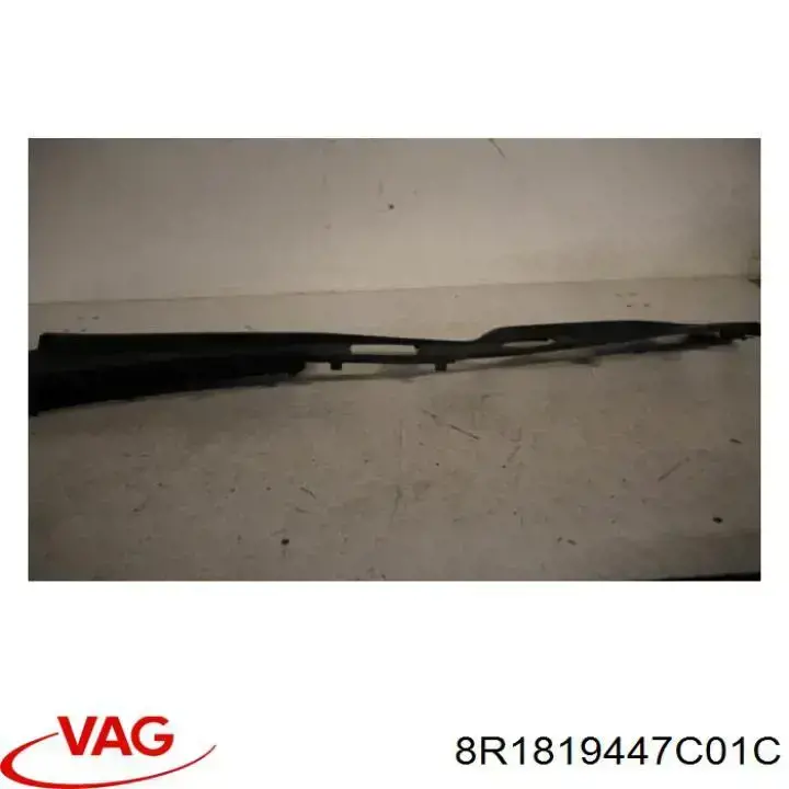 Купити 8R1819447C01C VAG Водостік лобового скла, жабо