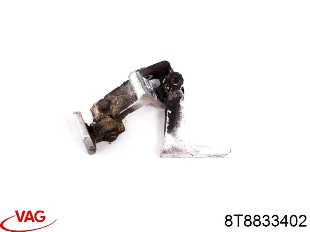 Купити 8T8833402 VAG Петля заднтої двері, правої