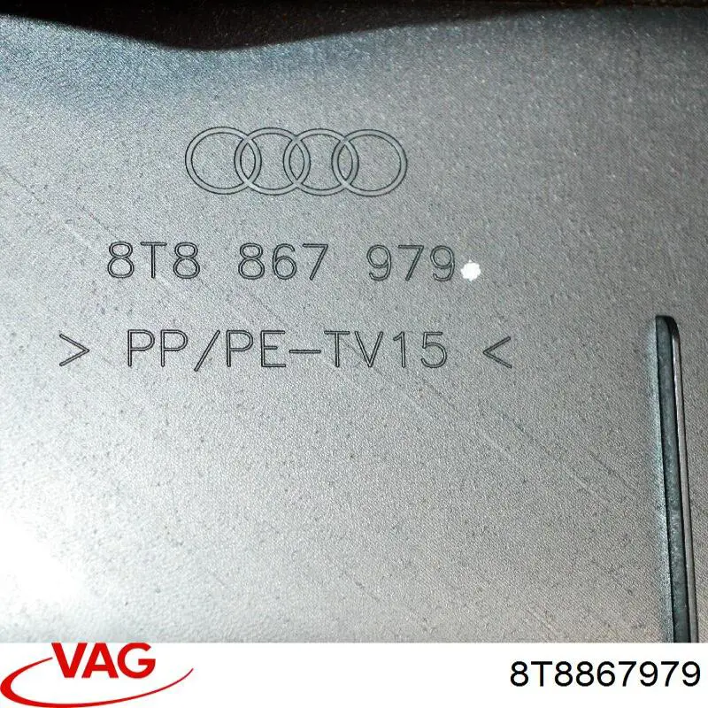  8T8867979 VAG