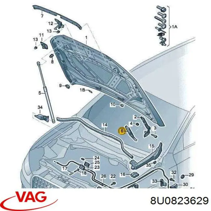 8U0823629 VAG 