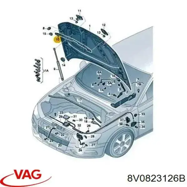 Ущільнювач капота VAG 8V0823126 ціна, від 12.15 USD