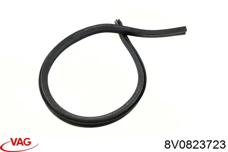 8V0823723 VAG 