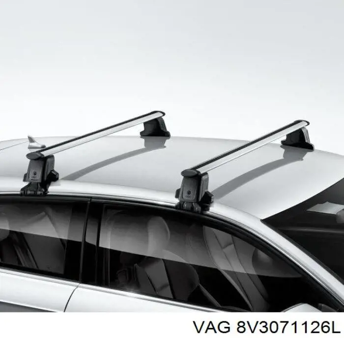 8V3071126L VAG 