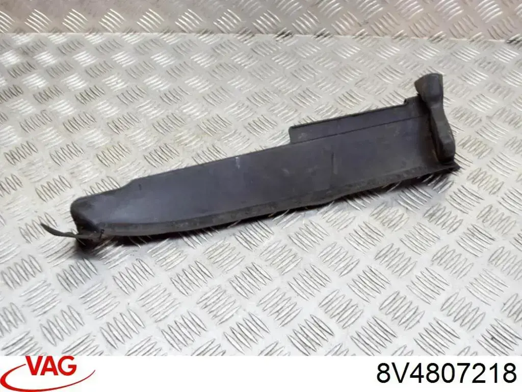 8V4807218 VAG 