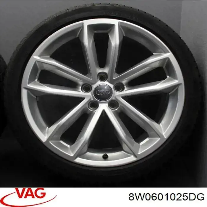 Диски колісні литі (легкосплавні, титанові) VAG 8W0601025DG ціна, від 506.77 USD