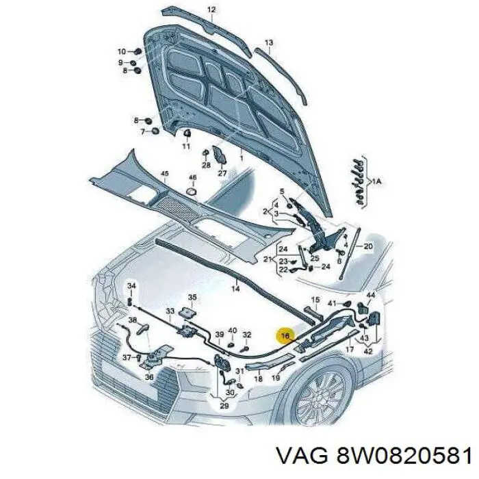 8W0820581 VAG 