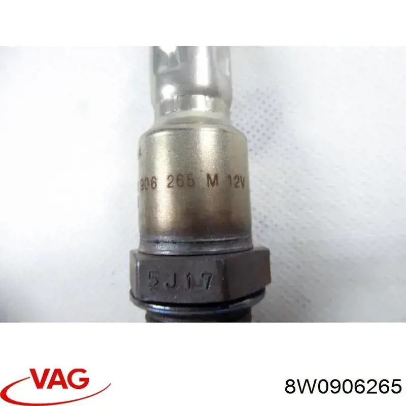  8W0906265 VAG