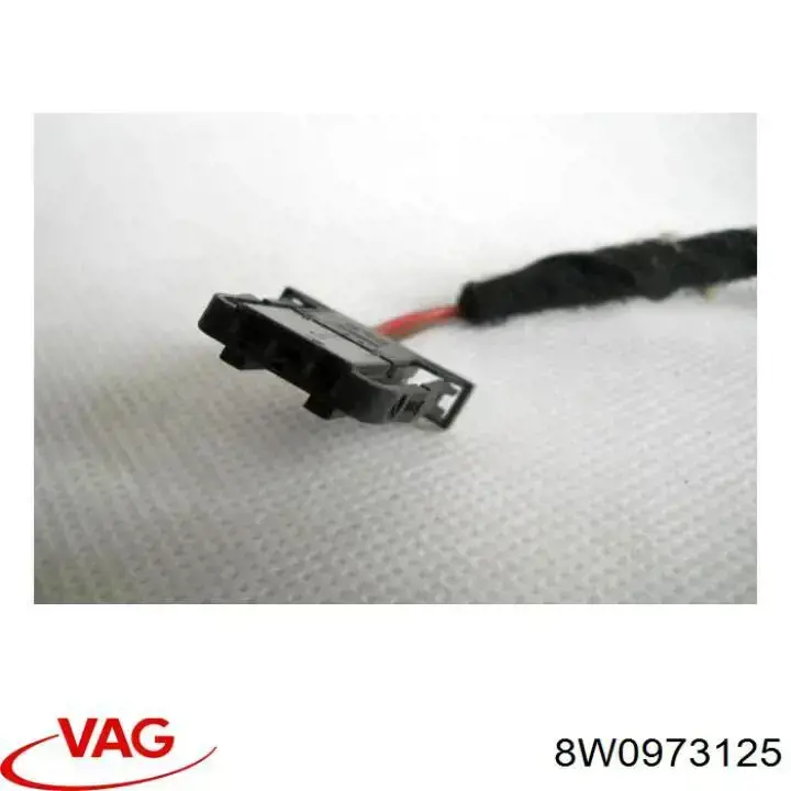  8W0973125 VAG