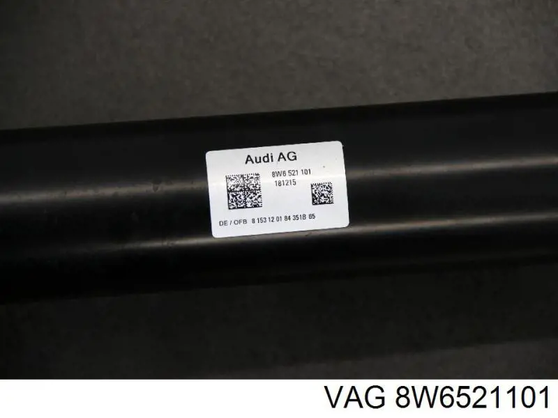 8W6521101 VAG 