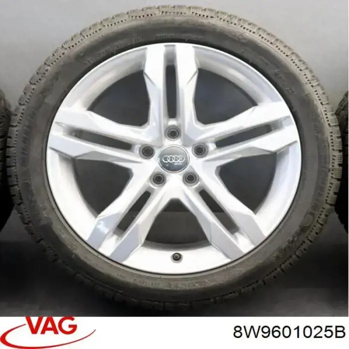Диски литі (легкосплавні, титанові) VAG 8W9601025B
