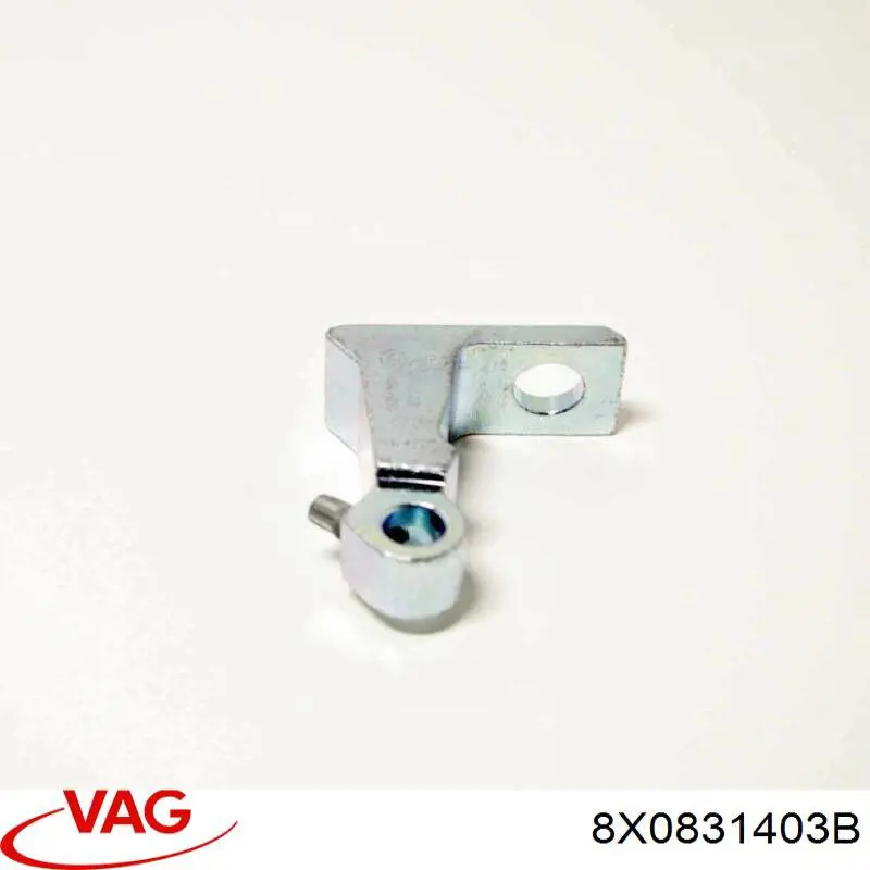 Завіса дверей передных лівих VAG 8X0831403B ціна, від 19.00 USD