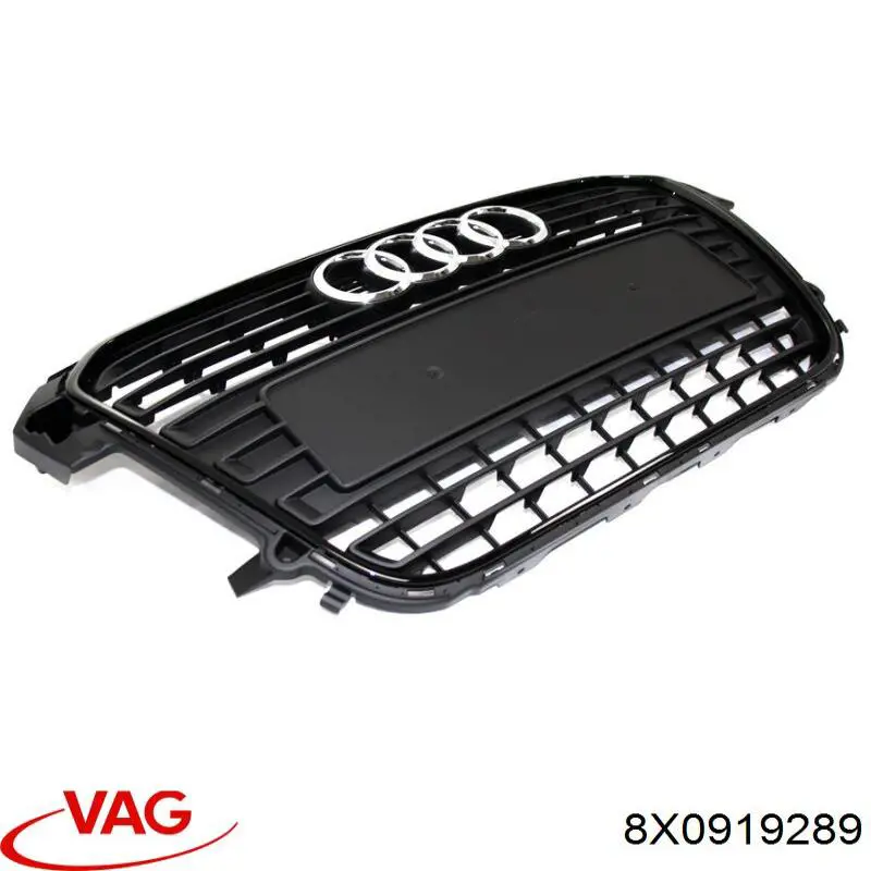 8X0919289 VAG 