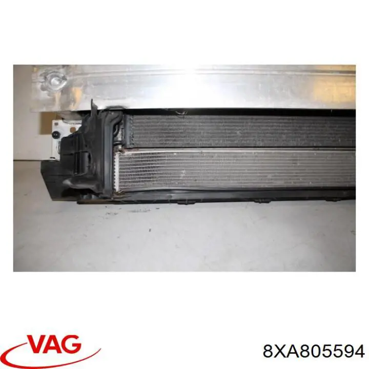 8XA805594 VAG 