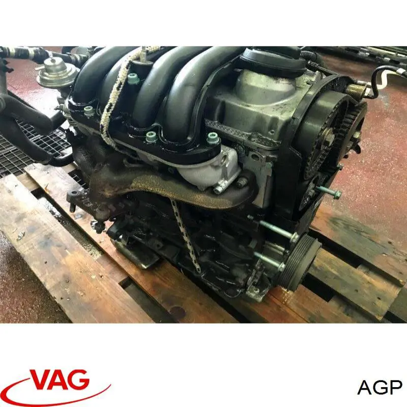 Двигун AGP VAG