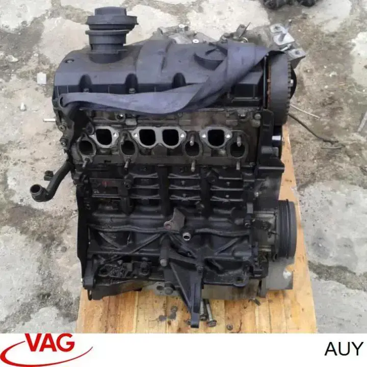 AUY VAG Мотор в зборі