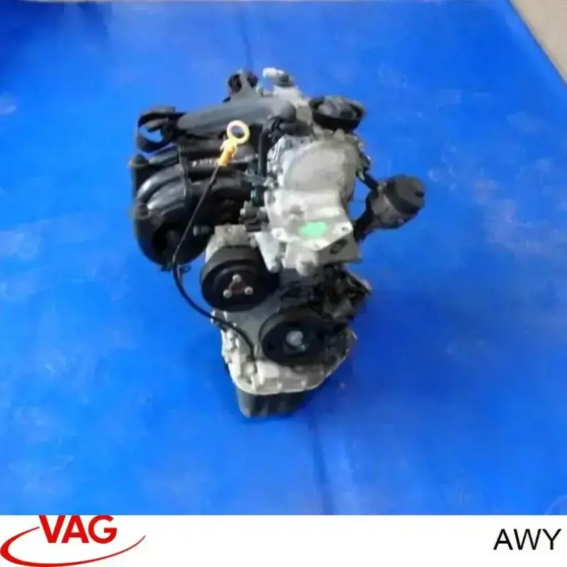 AWY VAG Мотор в зборі