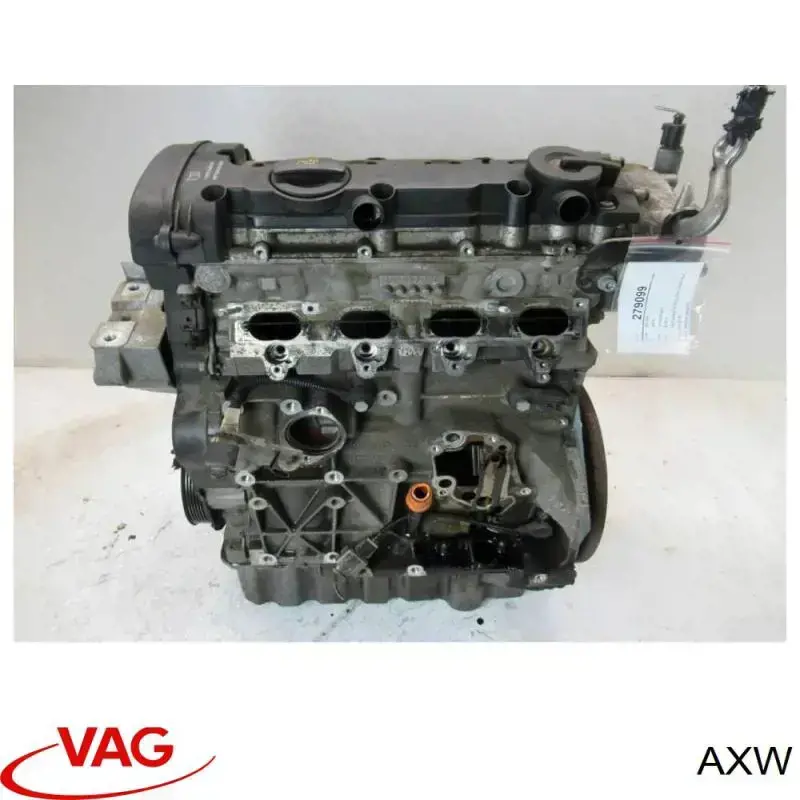 Двигун AXW VAG