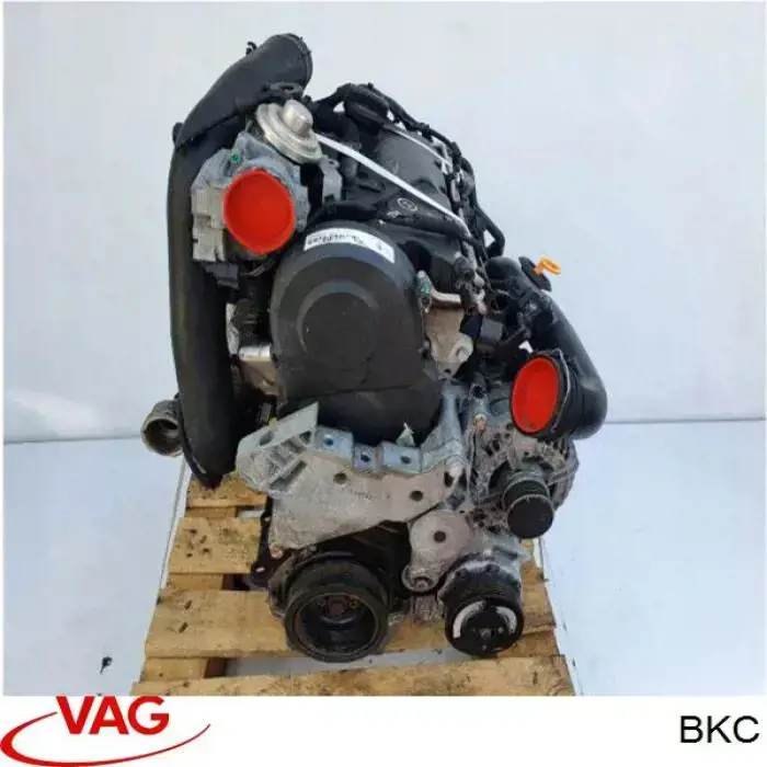 Купити BKC VAG Двигун