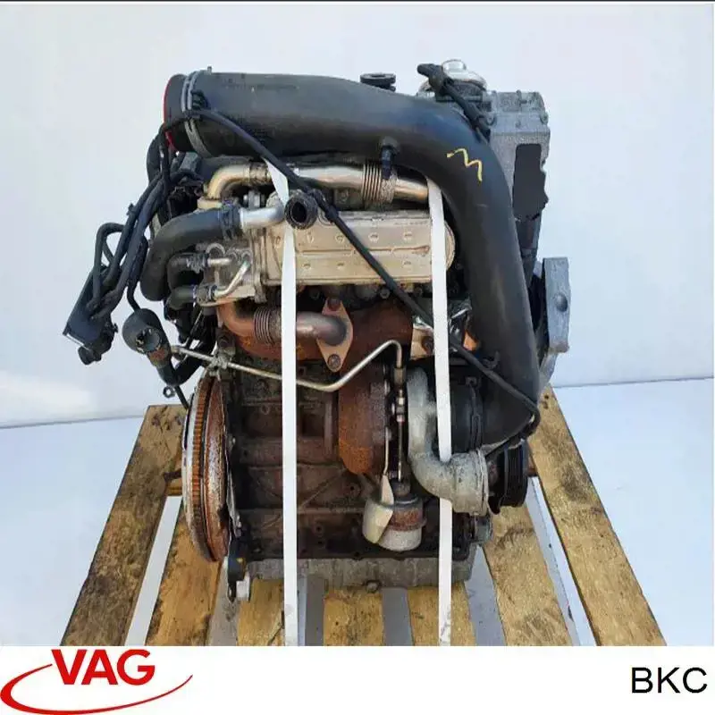 BKC VAG Мотор в зборі