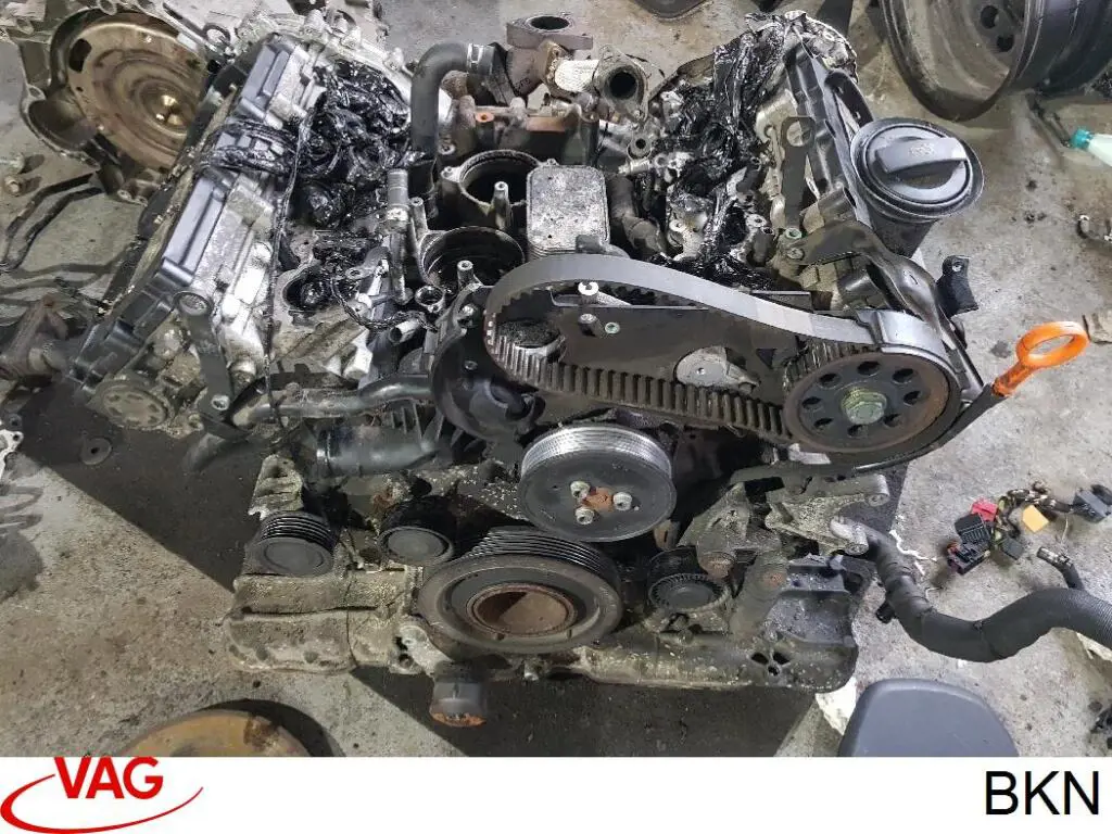 ДВЗ VAG BKN ціна, від 267.84 USD