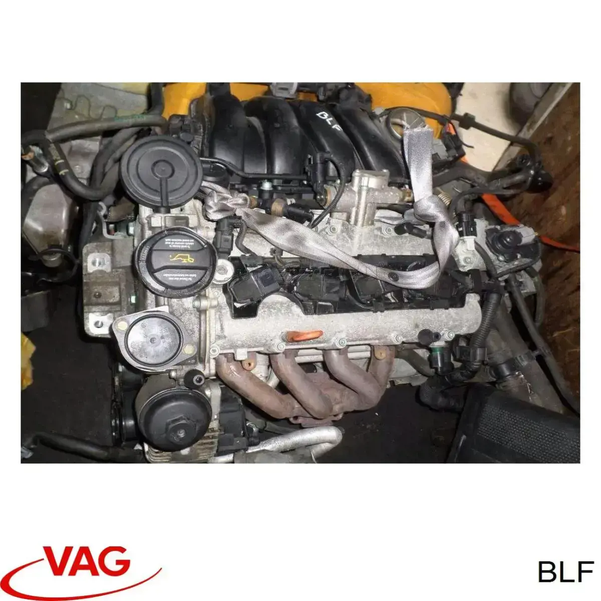 BLF VAG Мотор в зборі