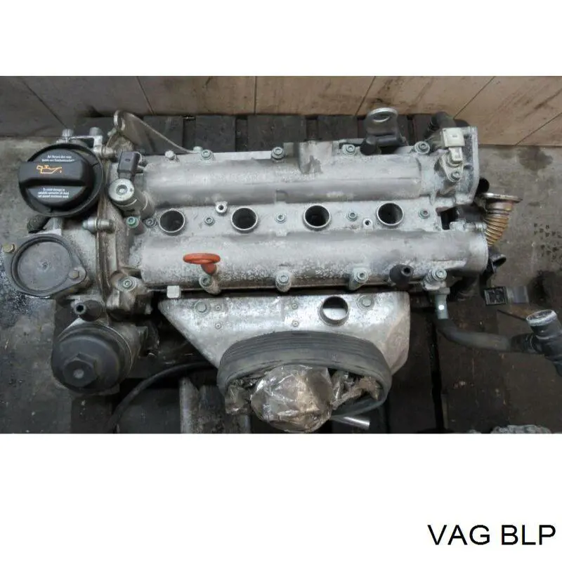 BLP VAG Мотор в зборі