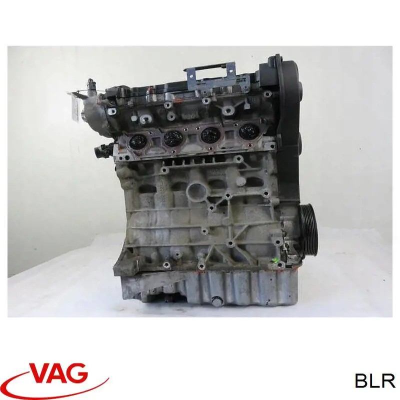 BLR VAG Мотор в зборі