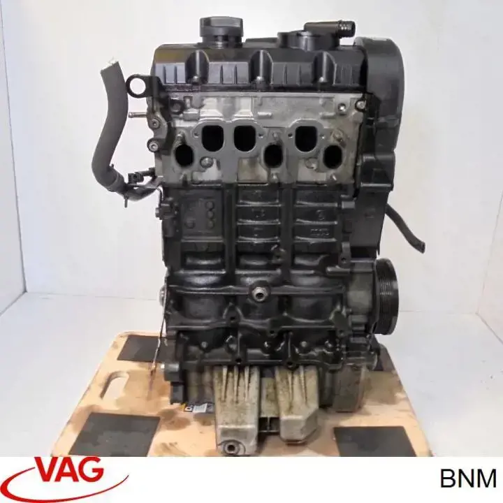 BNM VAG Мотор в зборі